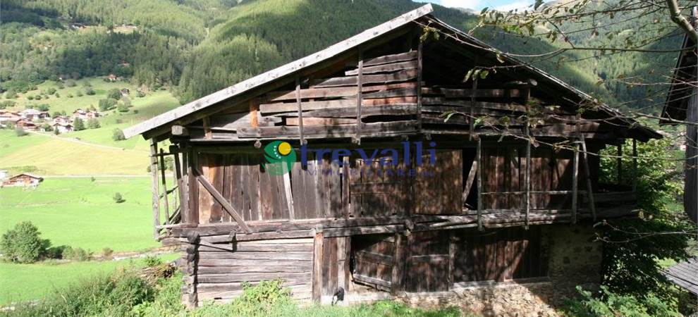 Foto annuncio