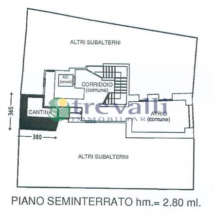 Planimetria cantina