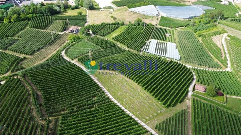 Terreno agricolo